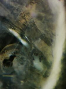Natural inclusions in a sapphire cabochon. 